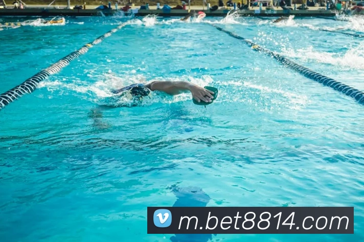 bet365comAPP 封面图
